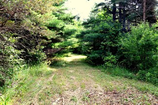 0 S Straits Hwy Unit 325173, Vanderbilt, MI 49795