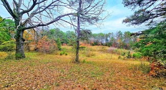 000 Elba Rd, Clinton, AR 72031