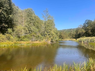 TBD Moyers Rd, Bruceton Mills, WV 26525