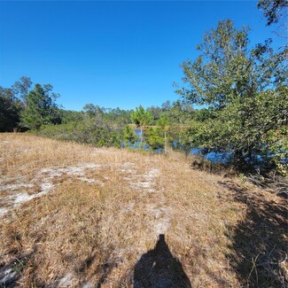 0 Pfundstein Rd, Babson Park, FL 33827