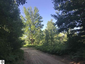 00 Mueller Rd SW, Fife Lake, MI 49633