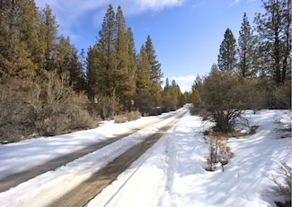 S S Packsaddle Cir, Beatty, OR 97621