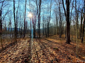7200 Kent Rd, Little Valley, NY 14755