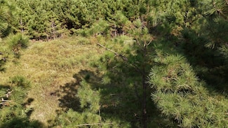 TBD County Road 3121, Henderson, TX 75669