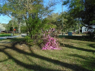 404 S Church St, Manning, SC 29102