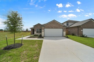1138 Wildflower Way Dr, Beasley, TX 77417