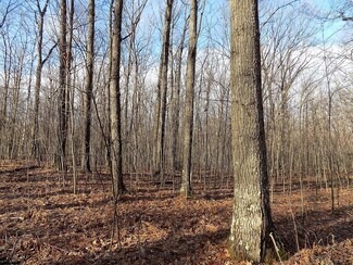0 Camp Domino Trail Unit 323924, Comins, MI 48619