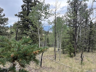 1928 Wells Fargo Cir, Jefferson, CO 80456