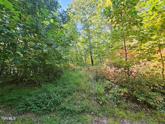 Lot  17 Fox Hollow Dr, Tazewell, VA 24630