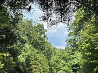 257 Andes Ridge, Ellijay, GA 30436