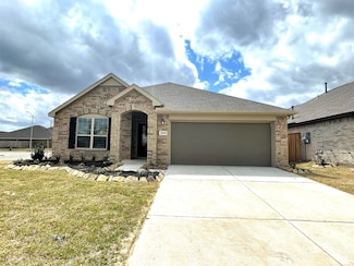 14210 Overbrook Willow Way, Rosharon, TX 77583