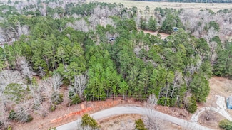 0 Twin Ponds Rd, Newberry, SC 29108