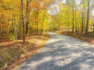 0 Robert Miller Ln Unit 410067, Mineral Bluff, GA 30559