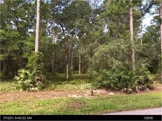 1017 NE Village Green Dr, Townsend, GA 31331