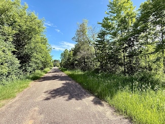 Lot 3 810th St, Sand Creek, WI 54765