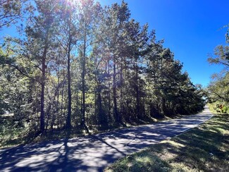 NHN Ceasar Rd, Picayune, MS 39466