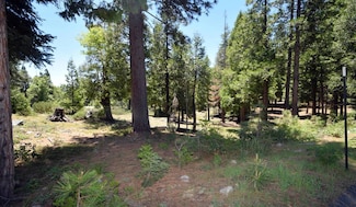 42436 Garnet Ln Unit lot48, Shaver Lake, CA 93664