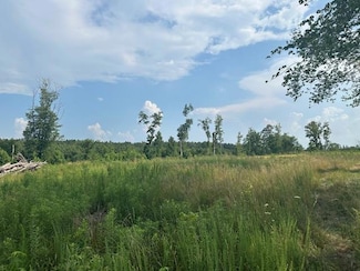 44 ac Rock Spring Rd, Center Cross, VA 22437