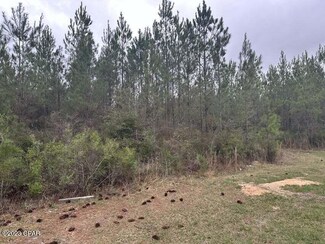 Tract#6431 Parrish Still Rd, Vernon, FL 32462