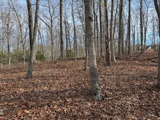 Lot 48 Old Mill Dr, Hardy, VA 24101