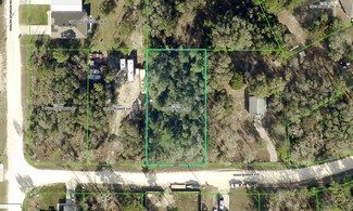 13197 Road Runner Ave, Weeki Wachee, FL 34614