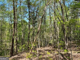 269 Appleberry Mountain Rd, Waleska, GA 30183