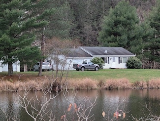 41 Fishbasket Hollow Dr, Austin, PA 16720