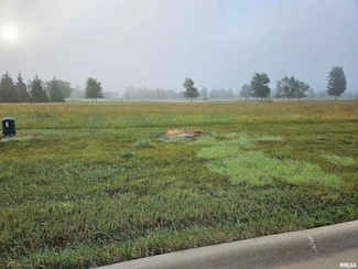 909 Harmon Ln, Metamora, IL 61548