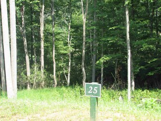Lot 25 Moxley Ridge Rd, Independence, VA 24348