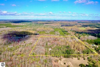 10253 Cedar Creek Rd, Fife Lake, MI 49633