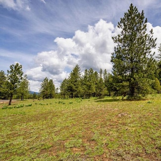 Lot 22 To Be Determined Unit 22, McCall, ID 83638