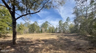 Lot #19 Paradise Lakes Rd, Chipley, FL 32428