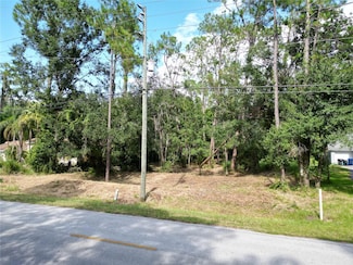 6760 Quail Hollow Blvd, Wesley Chapel, FL 33544