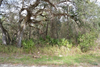 7180 Alloy St, Webster, FL 33597