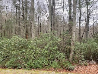 TBD Salola Ln Unit U04-L033, Brevard, NC 28712