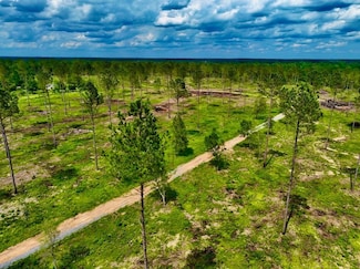 0 Kirklin Rd Unit LotWP001 23902445, Tylertown, MS 39667