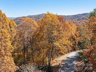 707 Overlook Dr, Flat Rock, NC 28731