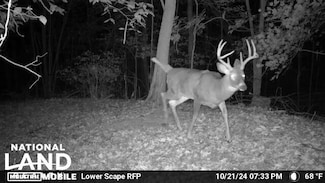 276 Millers Back Run Rd, Lucasville, OH 45648