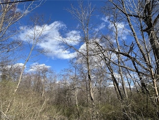 V/L Dock Rd, Madison, OH 44057