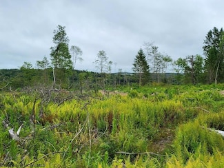 Lot 10 998 Hanlin Rd, Bruceton Mills, WV 26525