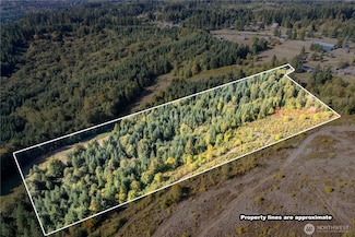 0 Lot 7 Spirit Lake Parcel Wk3612009 Hwy, Castle Rock, WA 98611