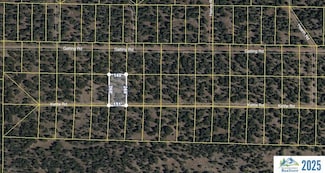 037-482-006-00 Kettle, Altuas, CA 96101