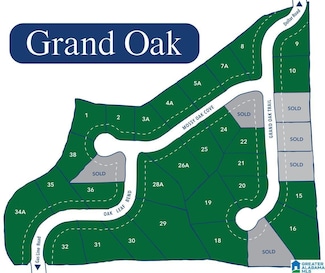 6702 Mossy Oak Cove Unit 1, Trussville, AL 35173