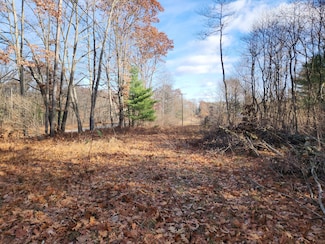 VL Highway 10 NW, Baldwin, MI 49304