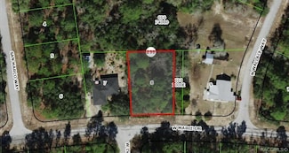 3173 W Marie Dr, Citrus Springs, FL 34433
