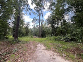 0 Shady Ln, Rebecca, GA 31783