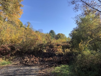 0 Cole Ln Unit 202032172, Troy, NY 12180