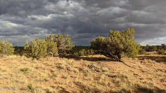 Lot 193 Woodland Valley Ranch, St. Johns, AZ 85936