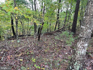 0 Valley View Rd Unit VASH2009764, Basye, VA 22810