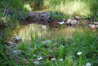 Lot 18 Morris Meadow, Payson, AZ 85541